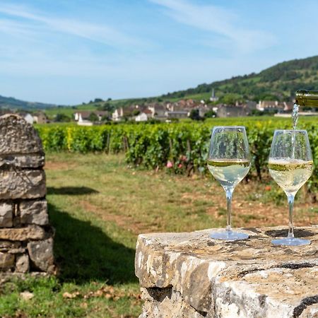 Charmante Maison Climatisee Avec Son Jardin A 5 Minutes De Dijon Сент-Аполлинер Экстерьер фото